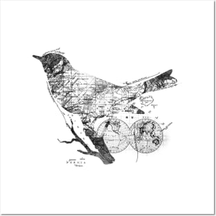 Bird Wanderlust Black and White Posters and Art